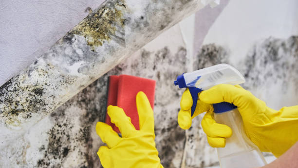 Best Emergency water damage restoration  in Lincoln, CA